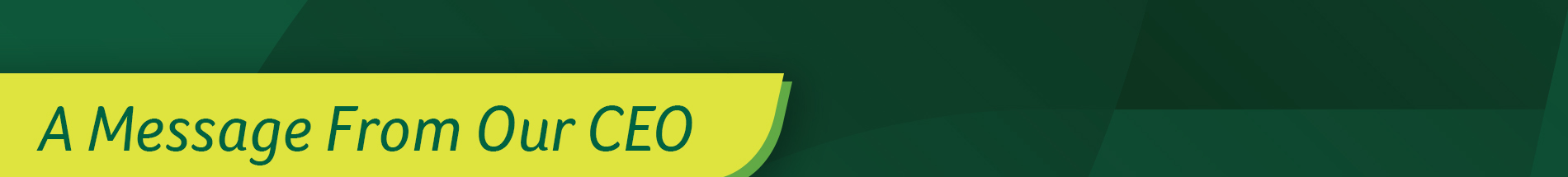 Message from our CEO header image