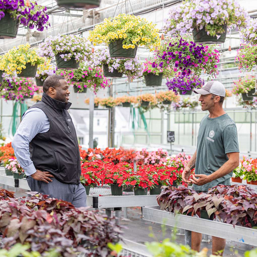 NESB-Checking-Page-flowers.jpg